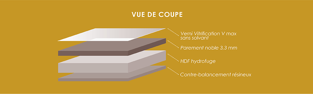 Vue de coupe